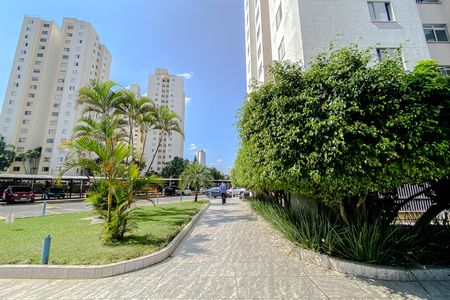Apartamento para alugar com 50m², 2 quartos e 1 vagaÁrea comum