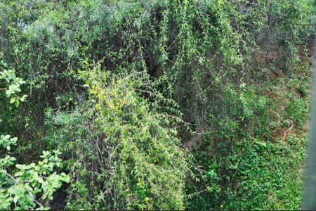 Apartamento à venda com 49m², 2 quartos e 1 vagaDetalhe - Vista do Quarto 01