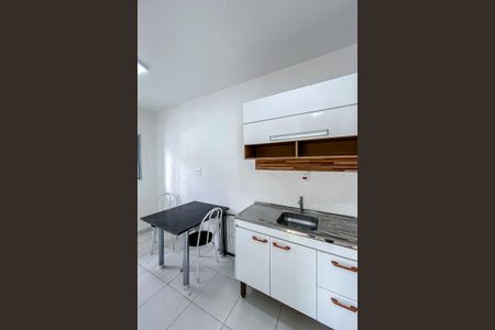 Cozinha e Área de Serviço de apartamento para alugar com 1 quarto, 30m² em Vila Oratorio, São Paulo