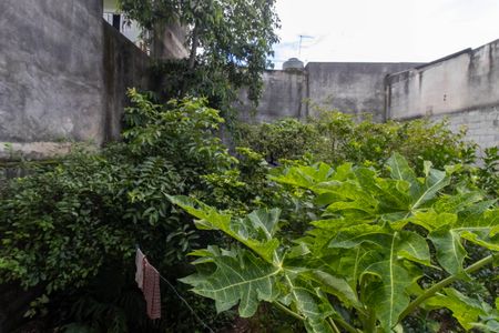 Casa para alugar com 300m², 2 quartos e 3 vagasQuintal