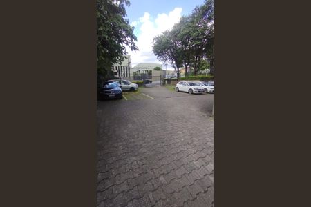 Apartamento para alugar com 78m², 3 quartos e 1 vagaÁrea externa