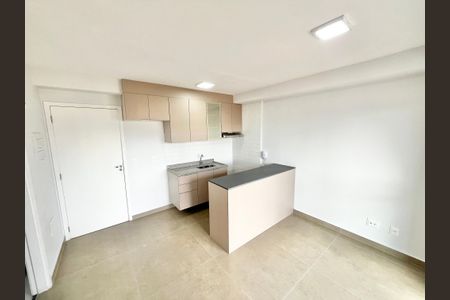 Sala/Cozinha/Quarto  de apartamento para alugar com 1 quarto, 30m² em Parada Inglesa, São Paulo