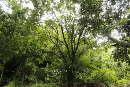 Apartamento para alugar com 60m², 3 quartos e 1 vagaÁrea comum