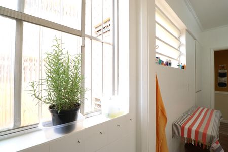 Apartamento à venda com 48m², 1 quarto e 1 vagaCozinha e Área de Serviço