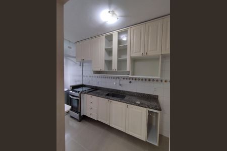 Apartamento para alugar com 48m², 2 quartos e 1 vaga Apartamento para alugar com 48m², 2 quartos e 1 vagaCozinha - Armários