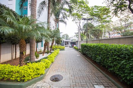 Apartamento à venda com 56m², 3 quartos e 1 vaga Apartamento à venda com 56m², 3 quartos e 1 vagaÁrea comum