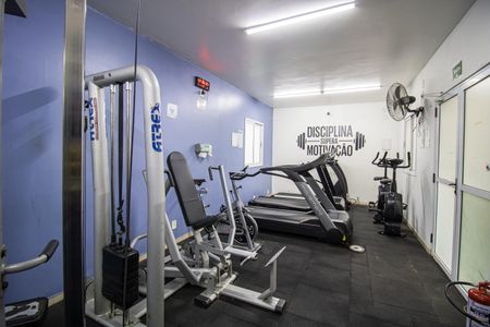 Apartamento à venda com 56m², 3 quartos e 1 vaga Apartamento à venda com 56m², 3 quartos e 1 vagaÁrea comum - Academia