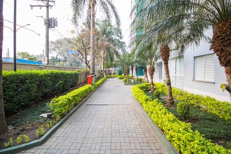 Apartamento à venda com 56m², 3 quartos e 1 vaga Apartamento à venda com 56m², 3 quartos e 1 vagaÁrea comum