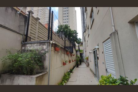 Apartamento para alugar com 50m², 2 quartos e sem vagaÁrea comum