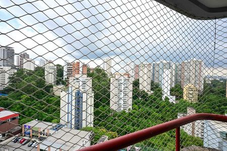 Vista de apartamento para alugar com 2 quartos, 60m² em Morumbi, São Paulo