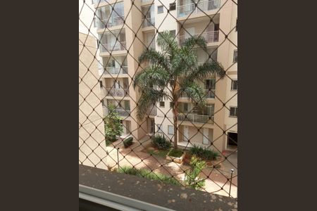 Apartamento à venda com 80m², 3 quartos e 1 vagaFoto 07