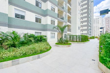 Apartamento para alugar com 50m², 2 quartos e 1 vagaÁrea Comum