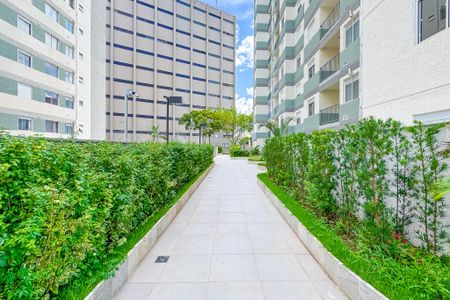 Apartamento para alugar com 50m², 2 quartos e 1 vagaÁrea Comum