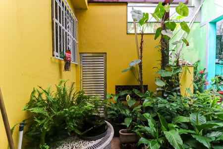 Casa para alugar com 360m², 4 quartos e 1 vagaQuintal