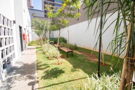 Studio para alugar com 25m², 1 quarto e sem vaga