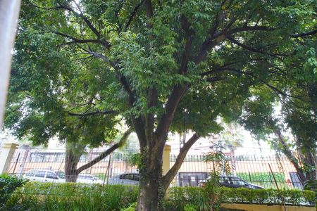 Apartamento à venda com 77m², 4 quartos e 1 vaga Apartamento à venda com 77m², 4 quartos e 1 vagaQuarto 4_Vista