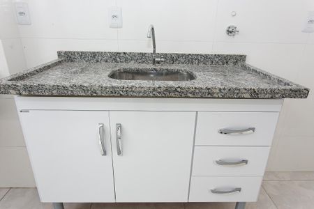 Apartamento para alugar com 54m², 2 quartos e 1 vagaCozinha - Armários