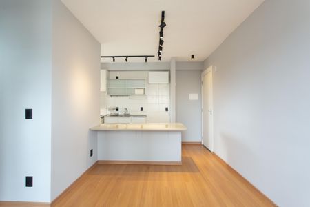 Sala de apartamento para alugar com 2 quartos, 43m² em Vila Carmosina, São Paulo