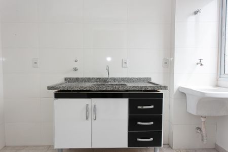 Apartamento para alugar com 54m², 2 quartos e 1 vagaCozinha - Armários