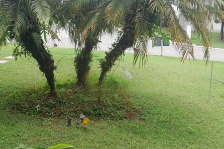 Casa à venda com 445m², 5 quartos e 6 vagas