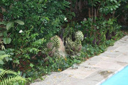 Casa à venda com 720m², 5 quartos e 9 vagas