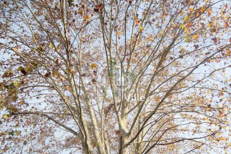 Casa à venda com 720m², 5 quartos e 9 vagas