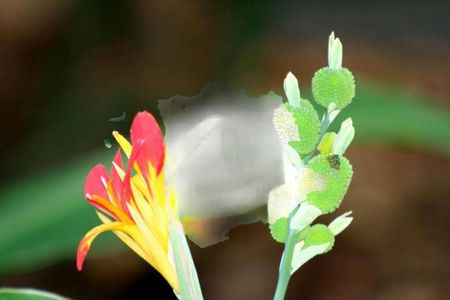 Casa à venda com 720m², 5 quartos e 9 vagas