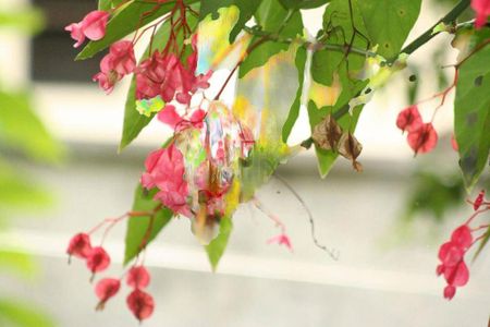 Casa à venda com 720m², 5 quartos e 9 vagas