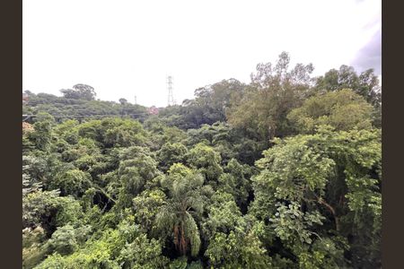 Apartamento para alugar com 35m², 2 quartos e sem vaga Apartamento para alugar com 35m², 2 quartos e sem vagaVista do Quarto 2