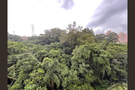 Vista de apartamento para alugar com 2 quartos, 35m² em Jardim Celeste, São Paulo