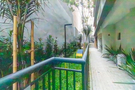 Apartamento para alugar com 45m², 2 quartos e sem vagaÁrea Comum - Pet Place