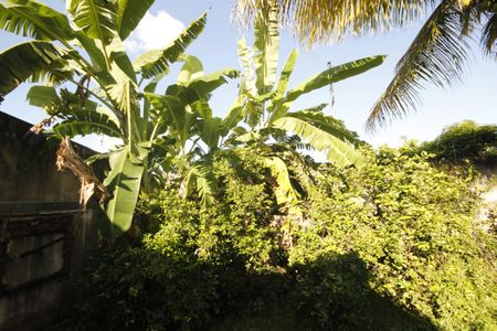 Casa à venda com 390m², 5 quartos e 6 vagasjardim