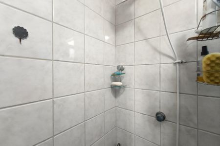 Banheiro Suíte de apartamento à venda com 3 quartos, 50m² em Vila Anhanguera, Campinas