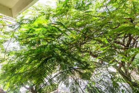 Casa de condomínio para alugar com 500m², 4 quartos e 4 vagasVista da Suíte