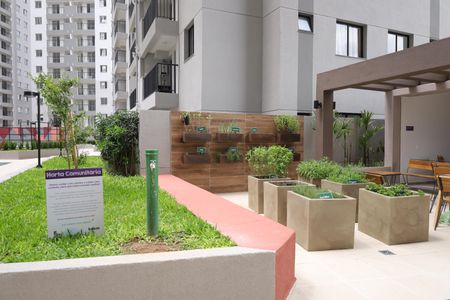 Apartamento para alugar com 38m², 2 quartos e sem vagaÁrea comum - Horta comunitária