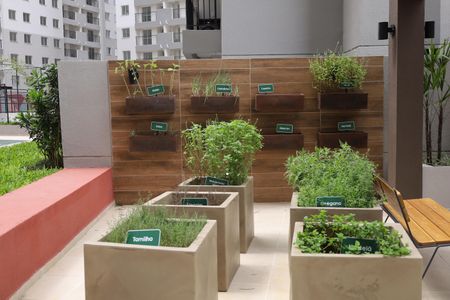 Apartamento para alugar com 38m², 2 quartos e sem vagaÁrea comum - Horta comunitária