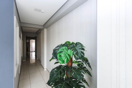 Apartamento à venda com 49m², 2 quartos e 1 vagaCorredor de acesso aos elevadores