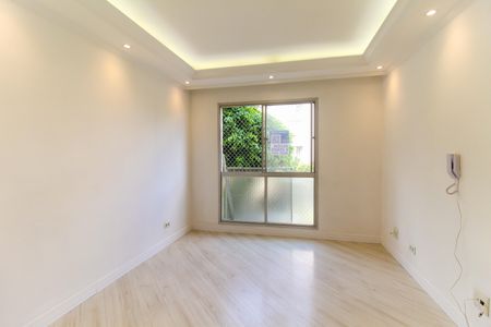 Sala de apartamento para alugar com 2 quartos, 49m² em Jardim Casa Pintada, São Paulo