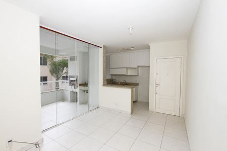 Sala de apartamento para alugar com 2 quartos, 55m² em Castelo, Belo Horizonte