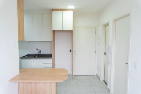 Sala de apartamento para alugar com 2 quartos, 34m² em Vila Paulista, São Paulo