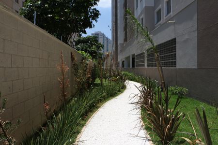 Apartamento para alugar com 35m², 2 quartos e sem vagaEspaço Pet