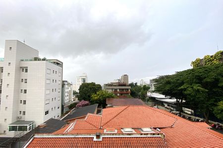 Vista da Sala de apartamento à venda com 3 quartos, 78m² em Santo Antônio, Belo Horizonte