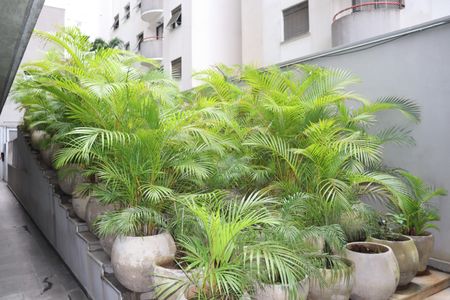 Studio para alugar com 22m², 1 quarto e sem vagaÁrea Verde