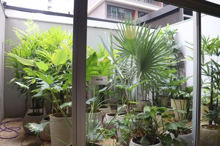 Studio para alugar com 22m², 1 quarto e sem vagaÁrea Verde