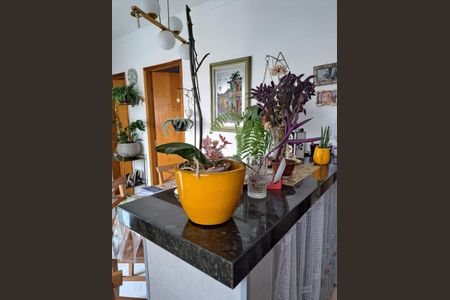 Apartamento à venda com 2 quartos, 59m² em Vila Nova Mazzei, São Paulo