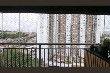 Apartamento à venda com 3 quartos, 78m² em Jardim Independência (são Paulo), São Paulo