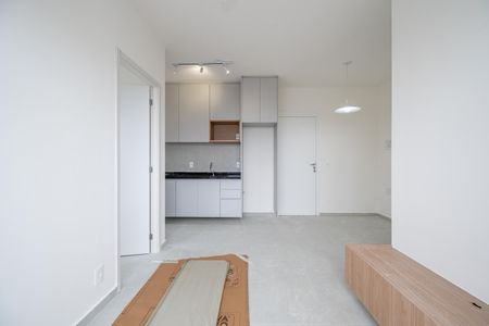 Sala de apartamento para alugar com 2 quartos, 45m² em Vila Guarani (zona Sul), São Paulo