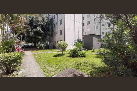Apartamento para alugar com 50m², 2 quartos e 1 vaga Apartamento para alugar com 50m², 2 quartos e 1 vagaÁrea Verde