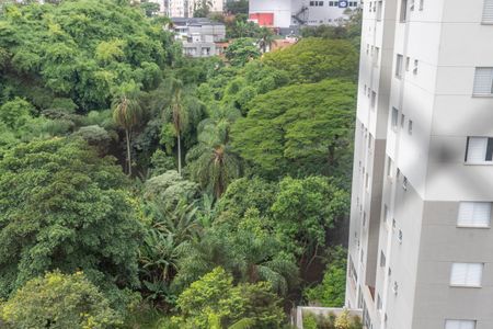 Apartamento à venda com 114m², 3 quartos e 1 vagaVista da suíte 2 