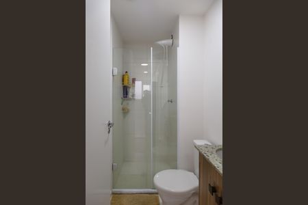 Banheiro de apartamento para alugar com 2 quartos, 36m² em Vila das Bandeiras, Guarulhos